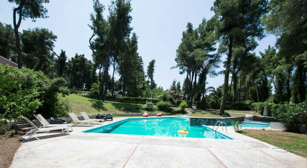 Villa Irini In Sani Sani  Bagian luar foto