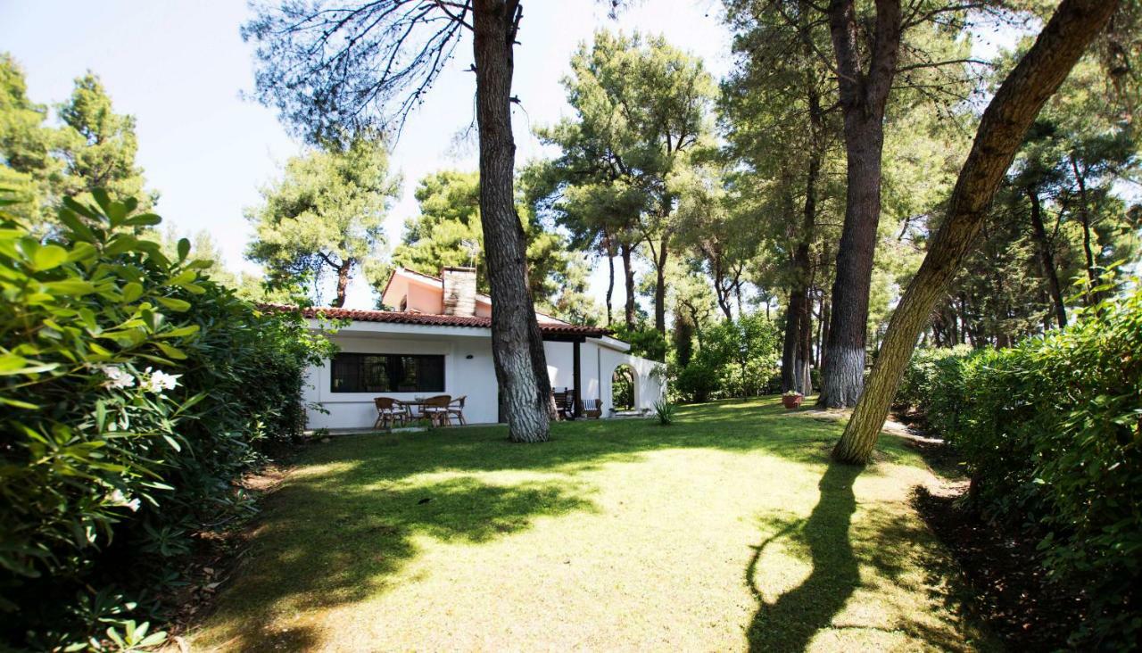 Villa Irini In Sani Sani  Bagian luar foto