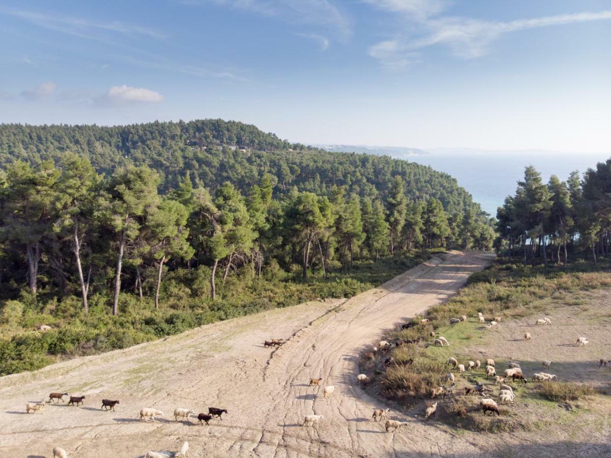 Villa Irini In Sani Sani  Bagian luar foto